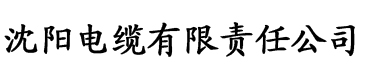 天天AaV电缆厂logo